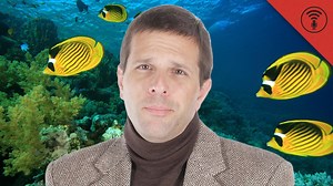 49K views · 29 reactions | Why Can't You Breathe Underwater? | Howstuffworks | Facebook