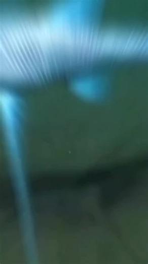 Interesting Facts About Fish You Didn't Know