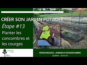 CRÉER UN JARDIN POTAGER - ÉTAPE 13 PLANTER LES CONCOMBRES ET LES COURGES