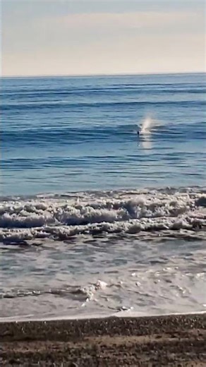 Speed Boat RC Dana Point Harbor Doheny Beach