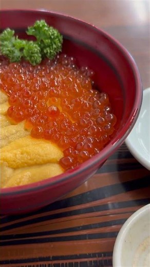 【北海道旅行】神威岬に行ったらこのウニ丼を食べろ！The Best Seafood Bowl in Hokkaido You Can't Miss!
