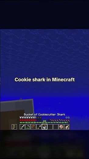 We got a Cookie shark before GTA 6 @aCookieGod