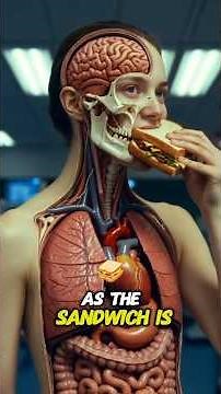 How a Simple Sandwich Fuels Your Brain, Muscles, and Gut #functionalmovement #restpause