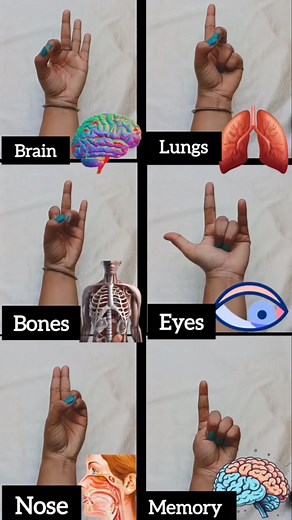 1.4M views · 7.6K reactions | Yogmudra to heal yourself #brain #lungs #bones #eyes #nose #memory #trendings #reel #yogmudra #healthylifestyle #journey | panchbhootyog | Facebook