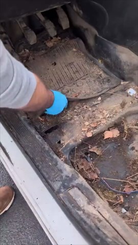 Neglected Car Undergoes an Impressive Transformation