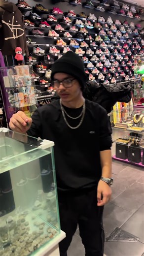 Topdeck (@topdeck_le_plug)’s videos with original sound - Topdeck