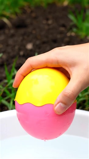 Dazzling Pink and Red Fish Collection Unveiled!