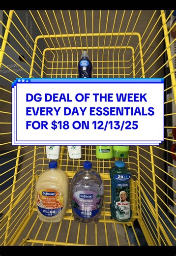 Dollar General $40 Items for Only $18 on 12/13/25