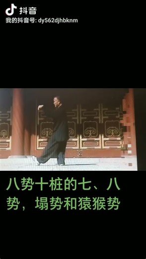 太極梅花螳螂拳 孫良山老師 八勢十樁―塌勢・猿猴勢 2014年