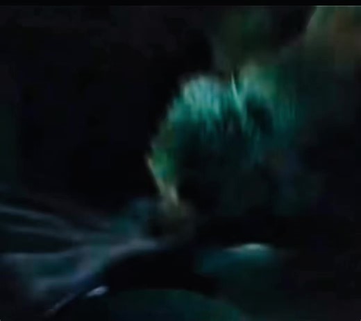 Hulk Labs testosterone unleashes raw energy and controlled aggression, giving you the intensity you need to break limits and crush goals. #testosterone #labsarethebest #hulksmash #gym #gymlifestyle