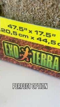 The Best Substrate for Leopard Geckos? #gecko #care