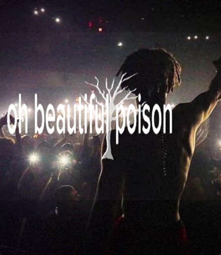 #xxxtentacion #poisontree
