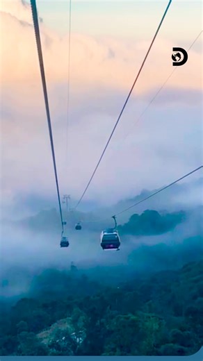 Glide above the misty peaks of Da Nang on the world’s highest non-stop cable car! 🚡✨​ 1,368m of pure thrill, leading you to the magic of Ba Na Hills!​ #DiscoverySEA #DiscoveryChannel #BaNaHills #DaNang #HeavenOnEarth #Vietnam | Discovery Channel Southeast Asia