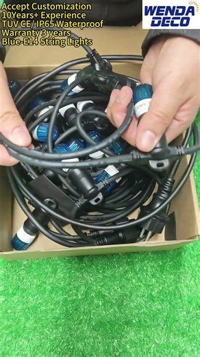 Blue-E14 String Lights