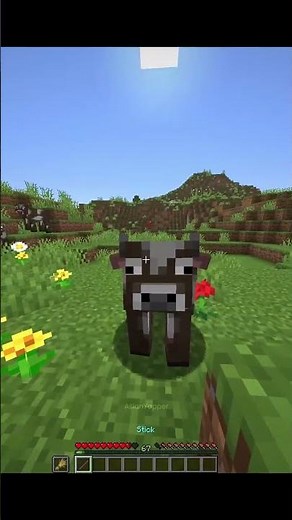 Minecraft Insane Commands Moment