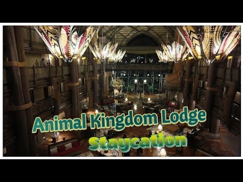 Staying at Disney’s Animal Kingdom Lodge | Summer Staycation & Jiko