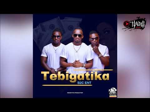 B2C Ent - Tebigatika