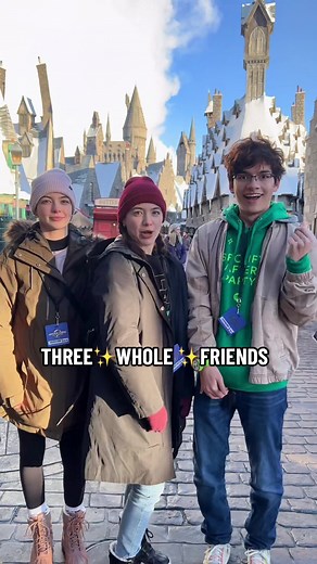 How Many Friends I Have: Exploring Friendship Circles