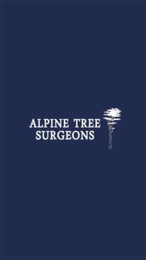 @Alpine Tree Surgeons are a highly experienced local tree surgery and...