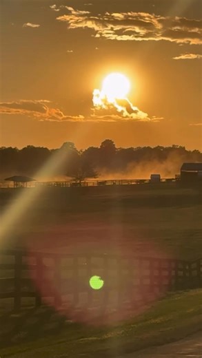 Golden hour at Blue Chip Farms 🔆 | BLUE CHIP FARMS, LLC