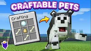 儿子和小朋友玩《我的世界基岩版》收费插件系列--可合成宠物 Craftable Pets 830币 我的世界基岩版 官方商城收费模组