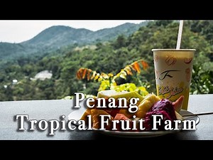 Penang Tropical Fruit Farm Malaysia【Full Tour in 4k】