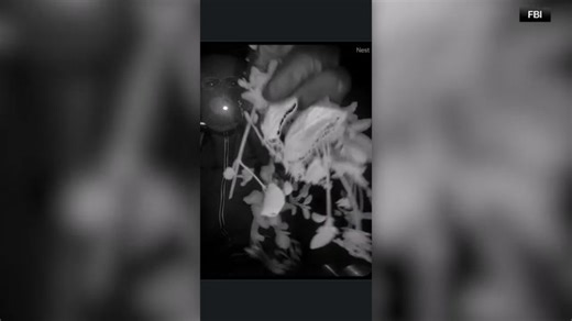 Amanda Hall WINK News on Reels