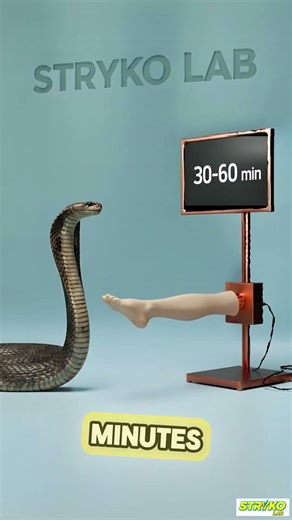 Which Snake Can Kill You The Fastest? #animals #animtion