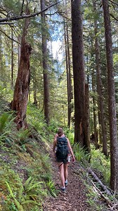 Solstice walk to Spider Lake near Lake Cushman. Learn more at by clicking the link in our bio! #wildside #lake #lakecushman #hoodcanal #summerhike #hiking #swimming | Explore Hood Canal