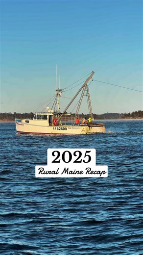 That’s a wrap on 2025 🦞🫐🍦🌊🌅 Boat rides, beach walks, and long summer days in the Maine sun. Wildlife along the way. Miles of hikes and more sunsets than I can count. Too many soft-serve ice creams. Blueberries eaten by the handful. Puffins offshore. Lighthouses along the coast. Lobster rolls, farm stands, and meals made with local food. Here’s to more of the same in 2026 ❤️ #mainelife #DowneastMaine #maine #MaineCoast #ruralmaine