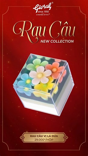 13K views · 43 reactions | Nhỏ xinh mà đầy cuốn hút  “Bé Vuông”...