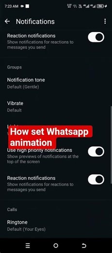 How to set Whatsapp Animation in WhatsApp app