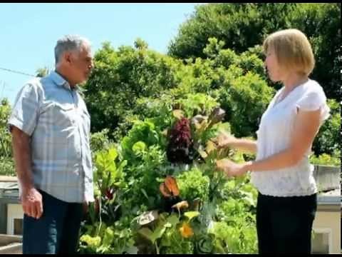 Pyramid Garden - Aeroponic Vertical Growing System