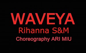 waveya Rihanna S&M