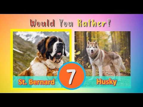Would You Rather? 🐶 Doggy Dog Edition | Dog Workout Game | Brain Break | PhonicsMan Fitness