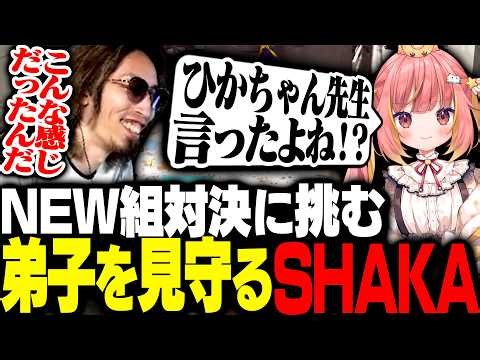 紫vs警察のNEW組対決に挑む弟子・飛良ひかりの活躍を見守るSHAKA【#NEWTOWN】