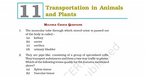 Class 7 Science 11.pdf