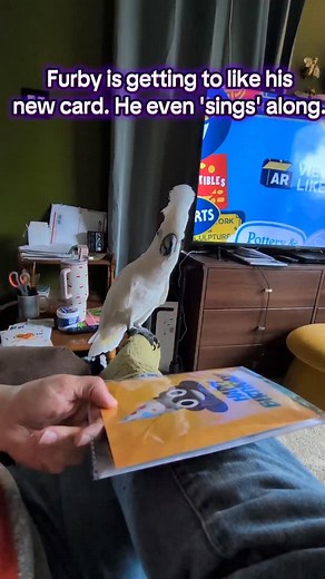 4.2K views · 261 reactions | Idc who you are, farts are hilarious #furbythebirb #fart #card #greetingcard #funny | Furbythebirb | Facebook