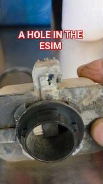 ESIM Leak P0455 P0456