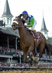Memories of Barbaro, and a doctor’s regret 10 years later