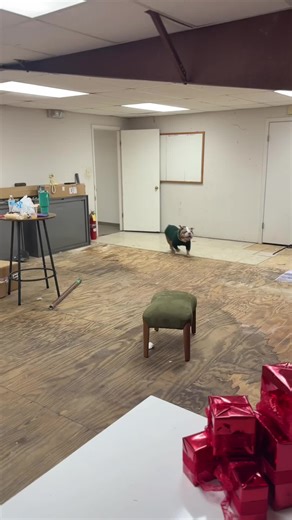 BTS of The Innanet’s Fav Black Dog Family Christmas Shoot