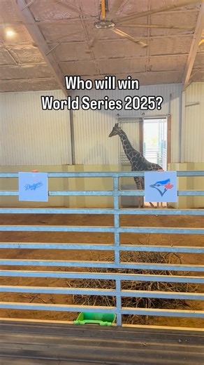 4.9K views · 22K reactions | It’s currently tied 2-2 so we thought we...