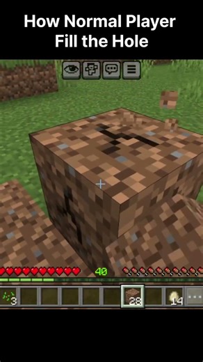 Legend Knows How to Fill Hole #minecraft