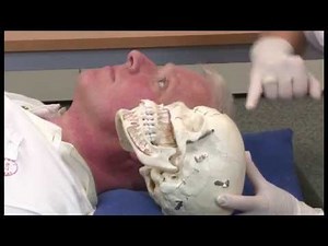 CMD: Grundlagen und Funktionsdiagnostik