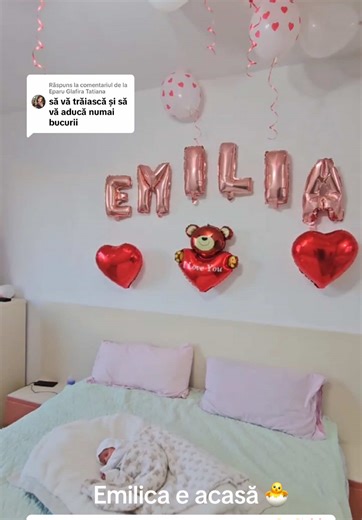 Decorul Camerei Noastre de către Soțul Emilicăi