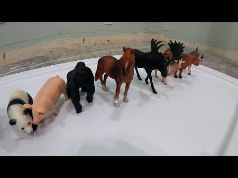 Dirty Farm Animals Get Washed in Bubbly Water! 🐷🐮 Learn Animal Names & Sounds