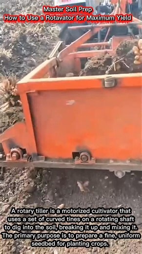 Master Soil Prep | How to Use a Rotavator for Maximum Yield