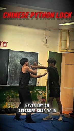 ancient Chinese Python Lock is unstoppable #qinna #selfdefense #martialarts