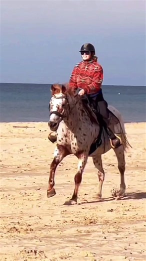 This is really giving “free” in Free Spirit Equestrian. This ride was absolutely magical! Imagine this with Ezzy & Ariel in a few years. #equestrian #galloping #beachride #puremichigan