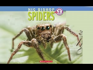 Spiders | Read Along Books for Children